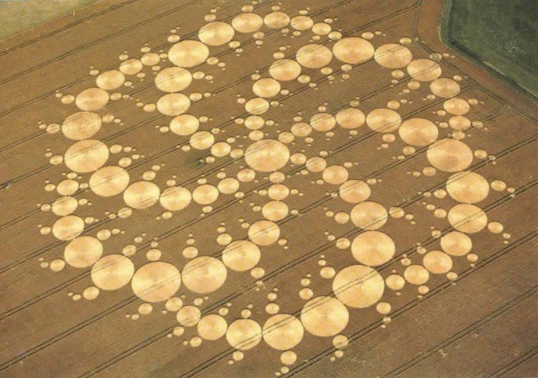 Círculos nas searas: extraterrestres exigem acção contra falsificações