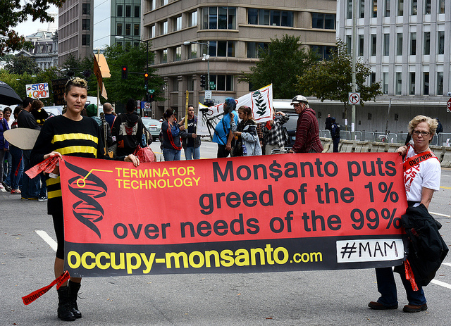 Exemplo do efeito da visão do mundo. Objecções morais e económicas contra empresas como a Monsanto conduzem frequentemente a uma rejeição cientificamente mal informada da própria tecnologia. Washington DC, 12 de Outubro de 2013. Foto por Stephen Melkisethian.